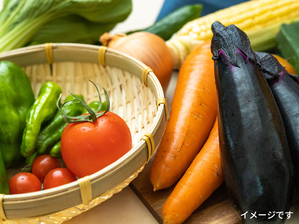 朝採れ野菜＋山菜プラン／A plan with freshly harvested vegetables